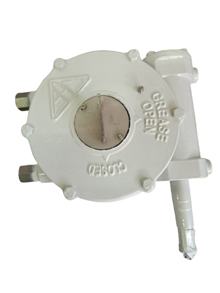 IMG20250523153826-removebg-preview